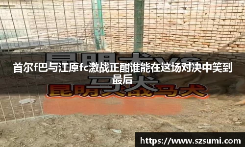 首尔f巴与江原fc激战正酣谁能在这场对决中笑到最后